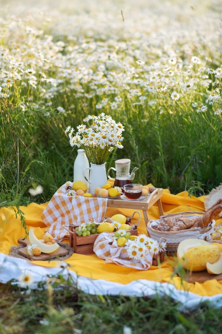 گل بابونه زرد در کوزه سفید با میوه تازه و چای