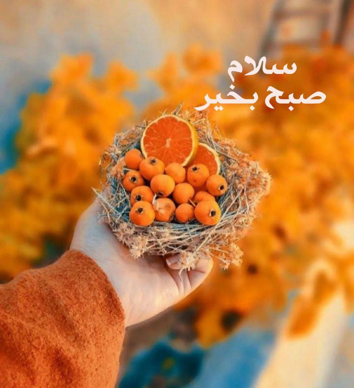 کارت «سلام صبح بخیر» با پرتقال و نارنج در حالوهوای گرم پاییزی
