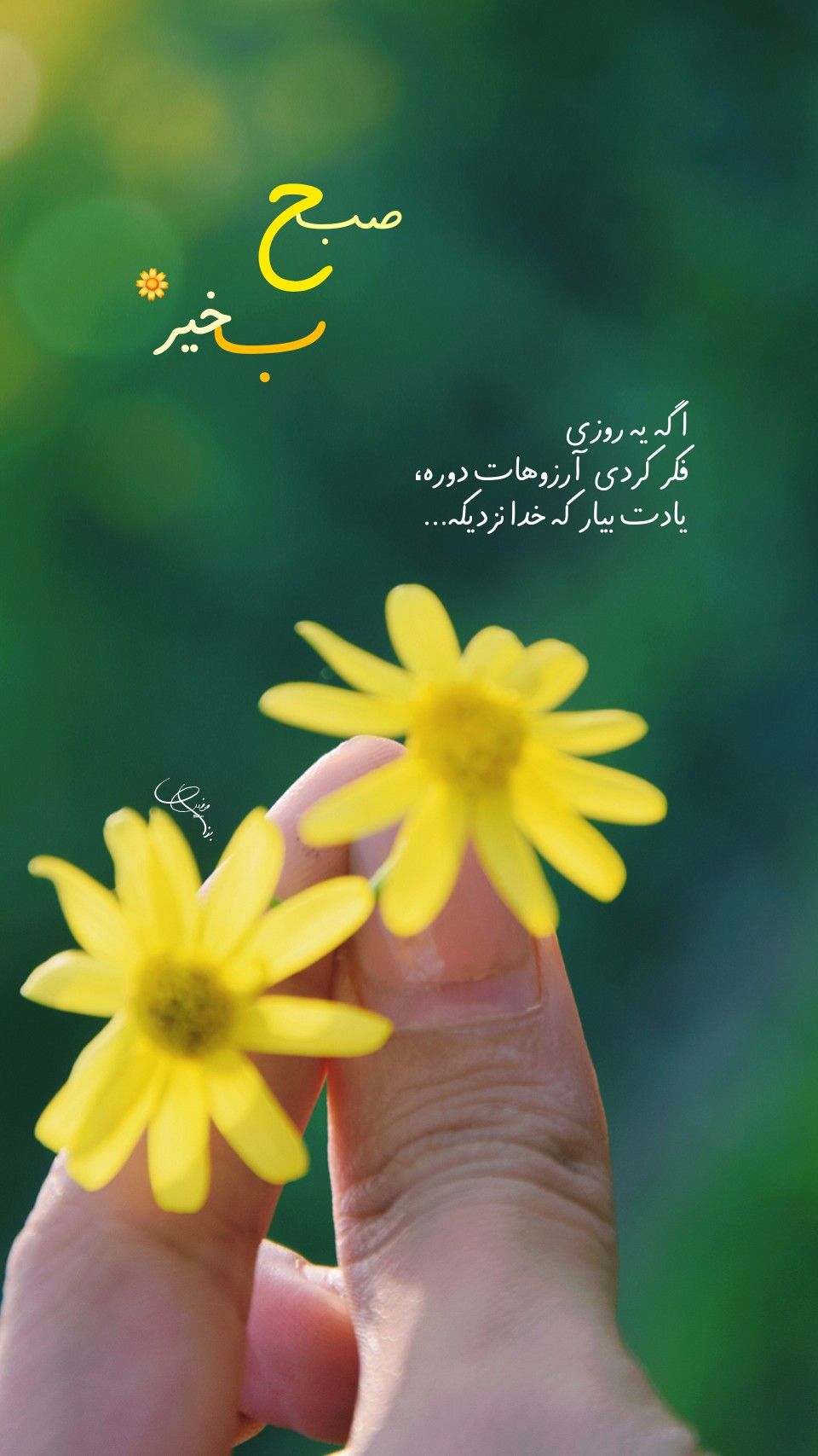 کارت صبح بخیر با دلنوشتهٔ امیدبخش و گلهای زرد